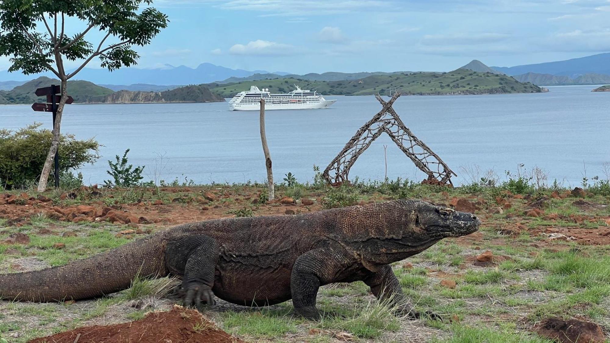 Jhuna Komodo Homestay Dış mekan fotoğraf