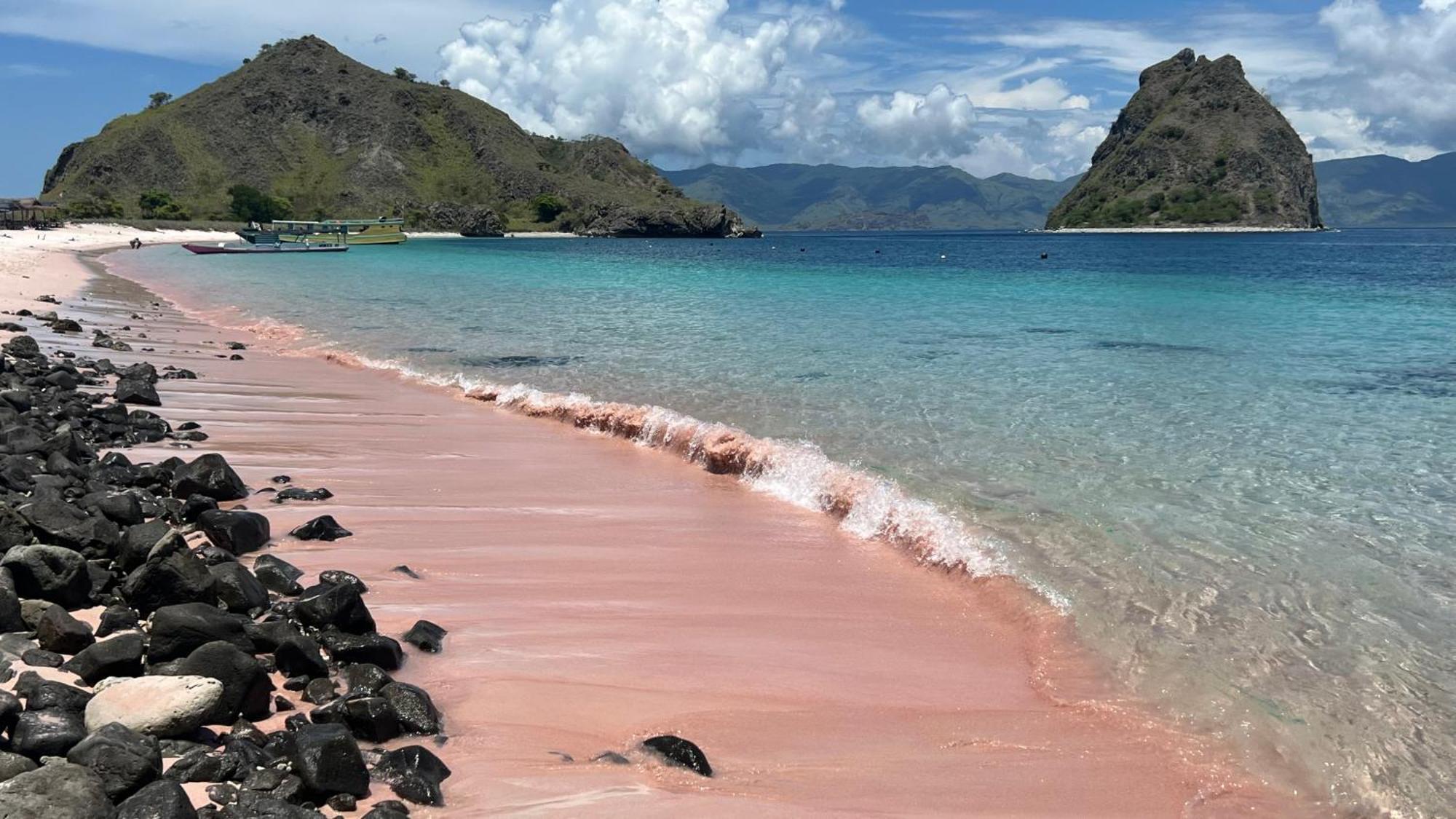 Jhuna Komodo Homestay Dış mekan fotoğraf