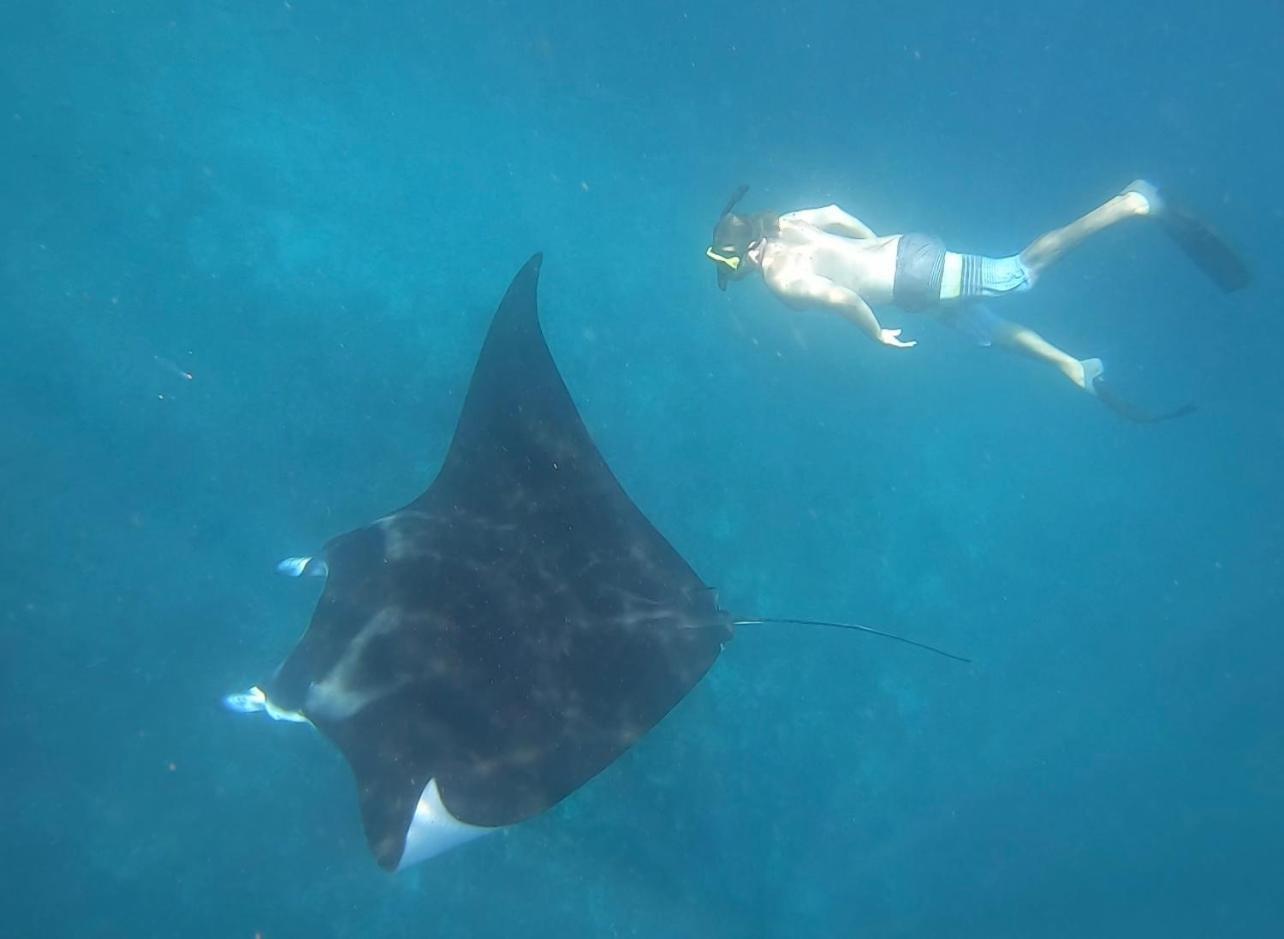 Jhuna Komodo Homestay Dış mekan fotoğraf